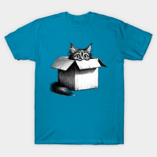 Cat in the box - Peeping Cat T-Shirt